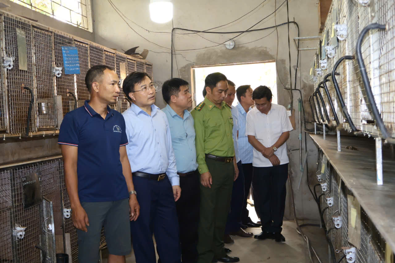 Thăm m&ocirc; h&igrave;nh c hương 2.jpg