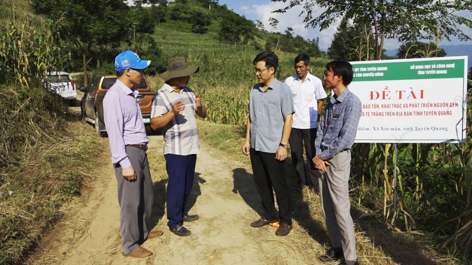 XÍN MẦN: KIỂM TRA, NGHIỆM THU TIẾN ĐỘ ĐỀ TÀI BẢO TỒN VÀ PHÁT TRIỂN NGUỒN GEN NGÔ TẺ TRẮNG