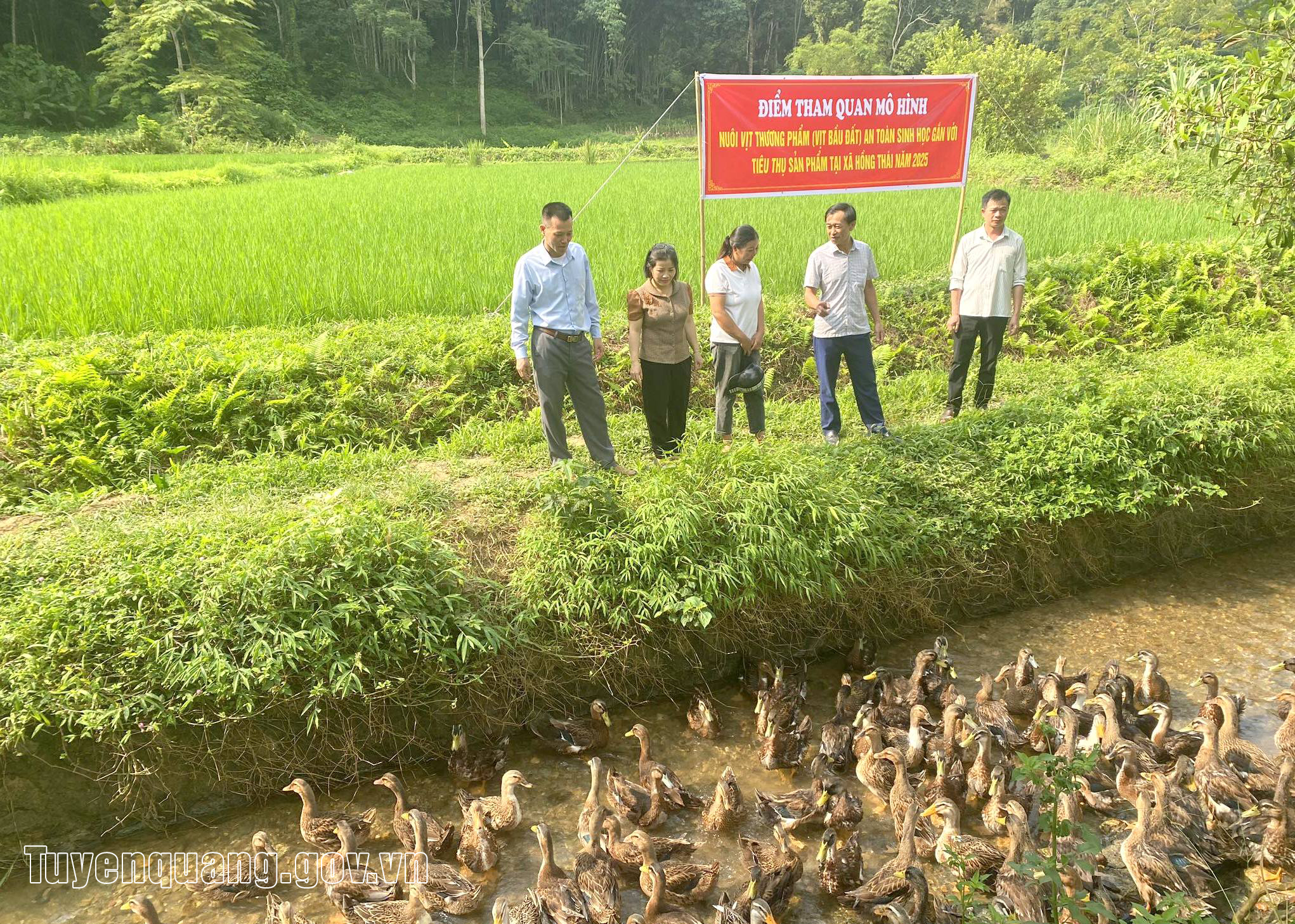 Tuyên Quang: Tạo sinh kế, nâng cao thu nhập từ các mô hình khuyến nông