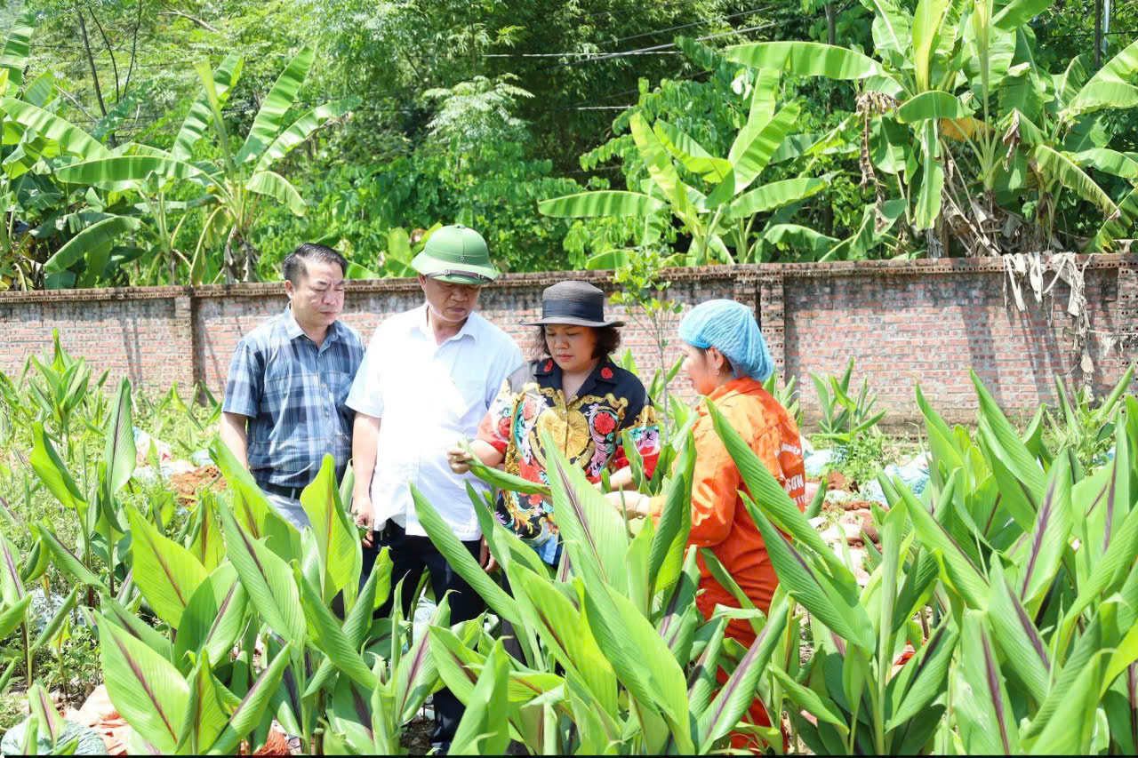 Kiểm tra năng xuất c&acirc;y nghệ.jpg