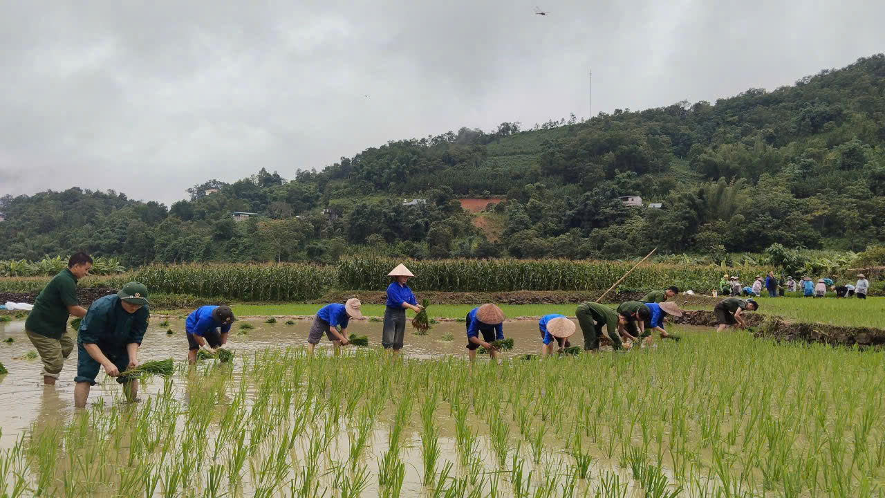 Ủy ban MTTQ và các tổ chức chính trị - xã hội xã Niêm Sơn tổ chức hoạt động hỗ trợ ngày công lao động tri ân gia đình thương binh, liệt sĩ nhân dịp 27/7