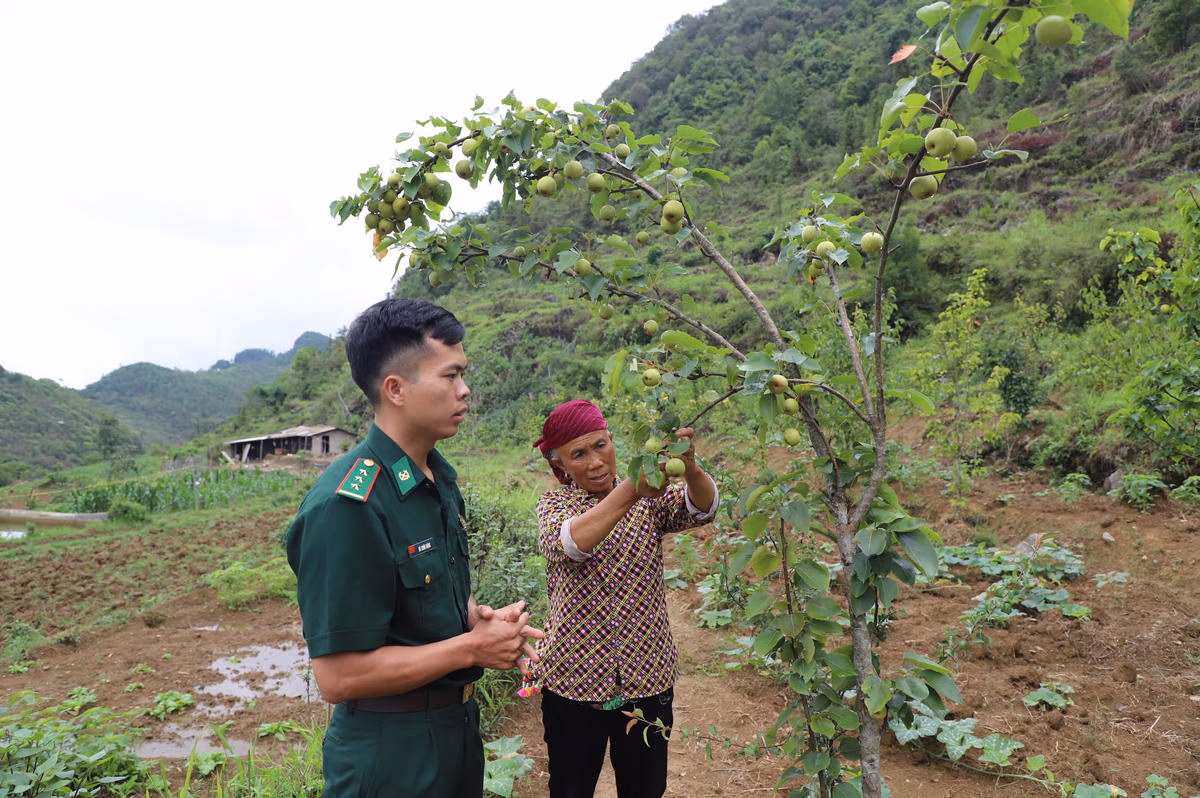 Gieo những mùa ngọt trên miền đá xám