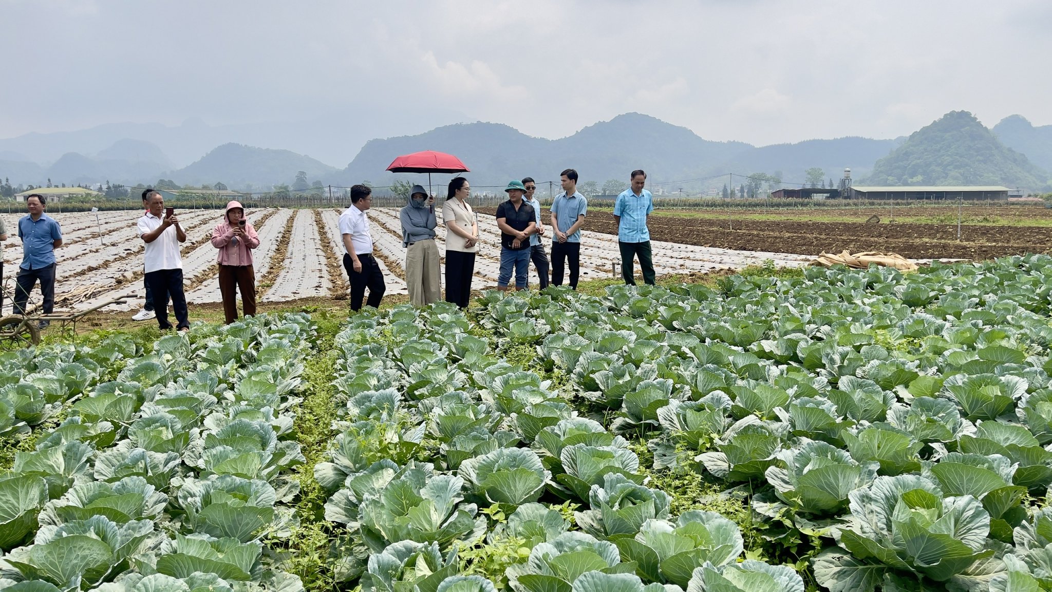 Xã Minh Quang tổ chức đoàn đại biểu người có uy tín đi học tập kinh nghiệm