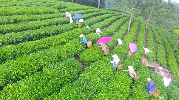 bb9368b28f2490b5c1337b0dfdde9538