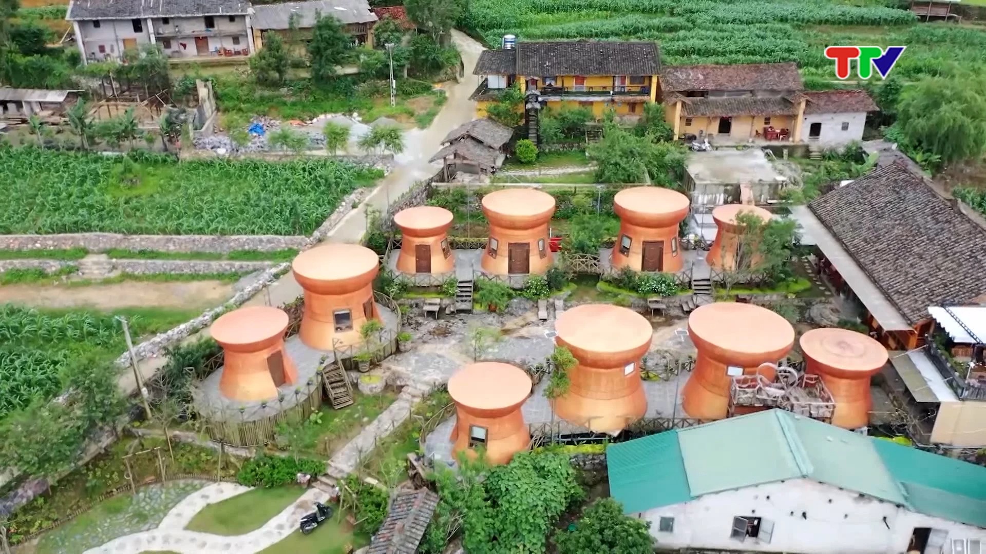 c0339d0d4086dce813e00c8114b5142e