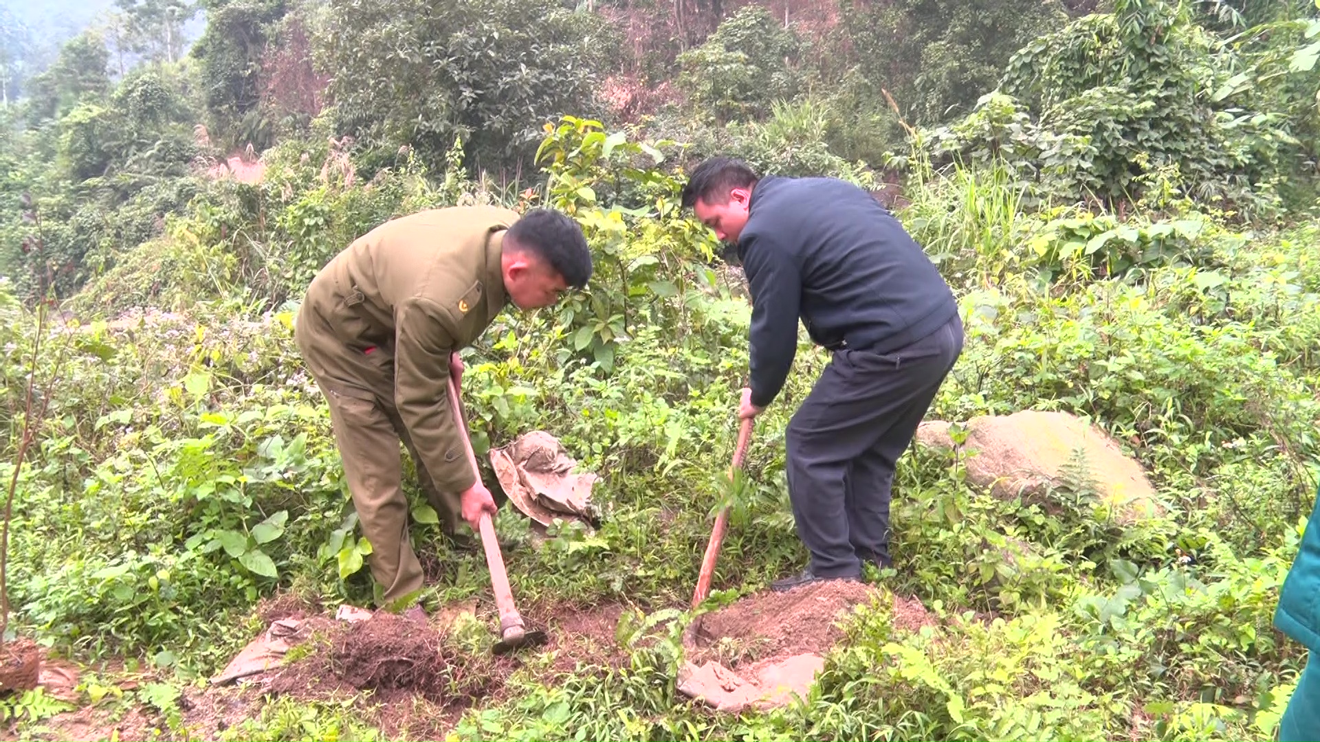 Xã Khuôn Lùng tổ chức Lễ phát động Ngày Cây xanh Việt Nam