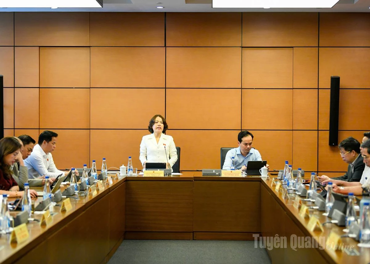 ĐBQH tỉnh góp ý hoàn thiện luật, chú trọng nguồn lực cho vùng nông thôn và khu vực khó khăn