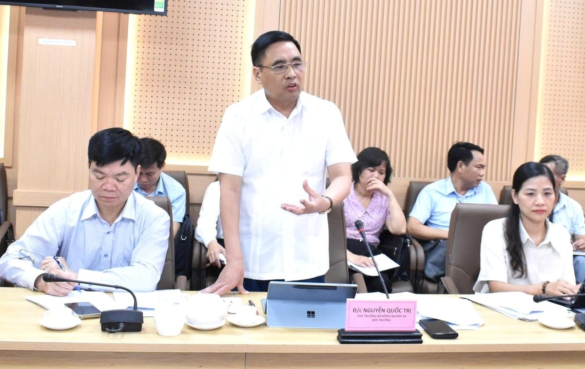 Bộ Nông nghiệp và Môi trường đồng hành cùng Tuyên Quang tháo gỡ vướng mắc
