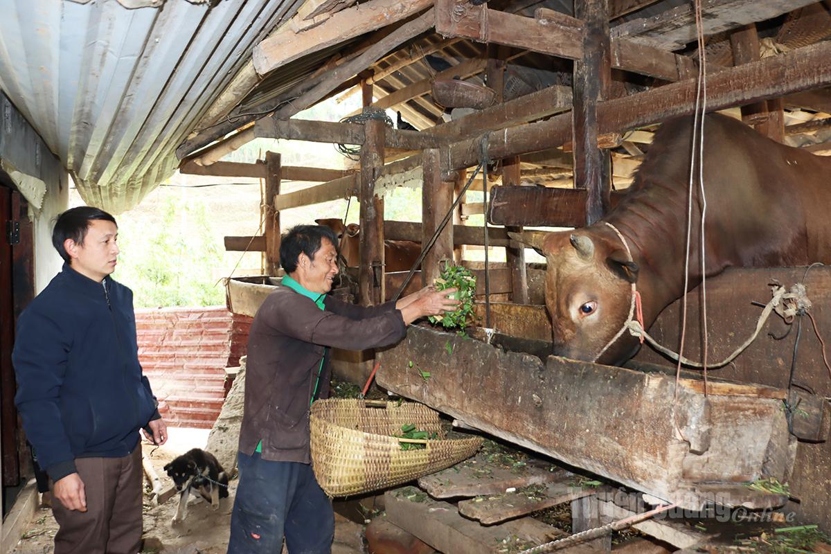 Toàn tỉnh giảm hơn 9.500 hộ nghèo đa chiều trong năm 2025