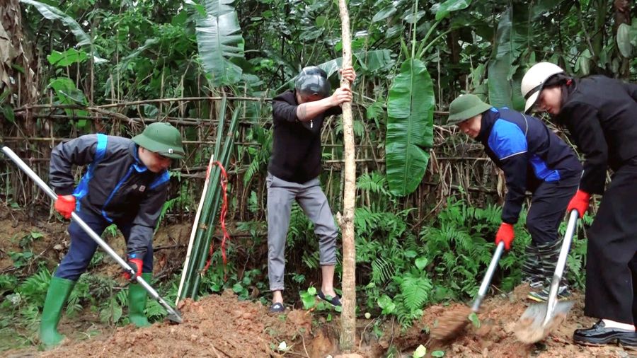 Xã Bắc Quang tổ chức lễ phát động Tết trồng cây xuân Bính Ngọ năm 2026