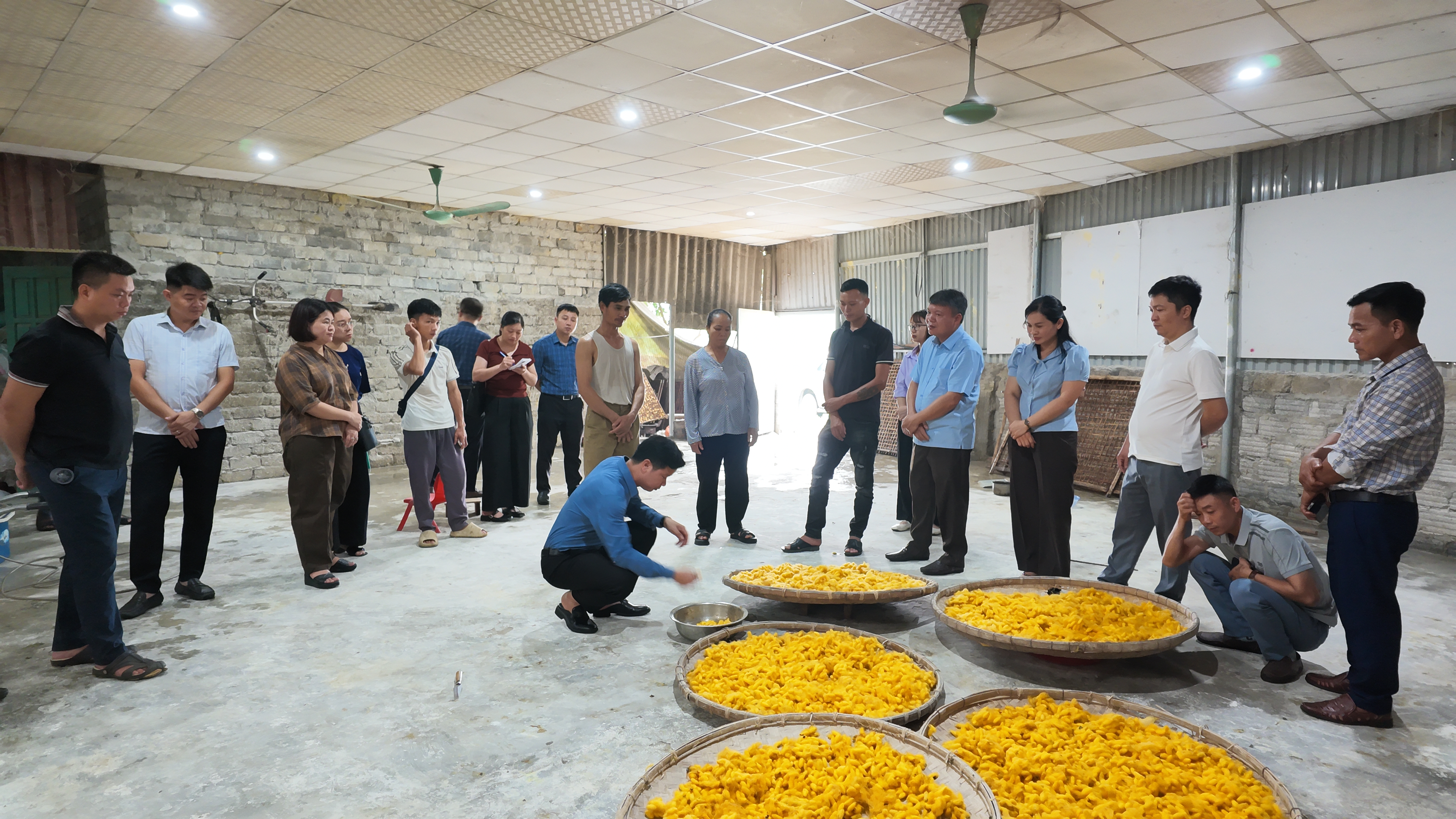 Tằm 7.JPG