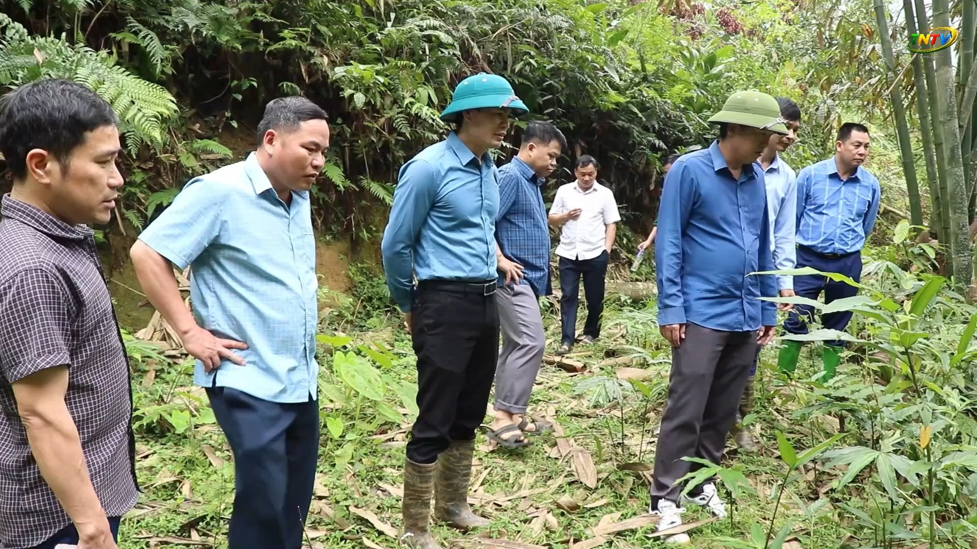 HĐND xã Tiên Nguyên giám sát một số chương trình, dự án phát triển sản xuất