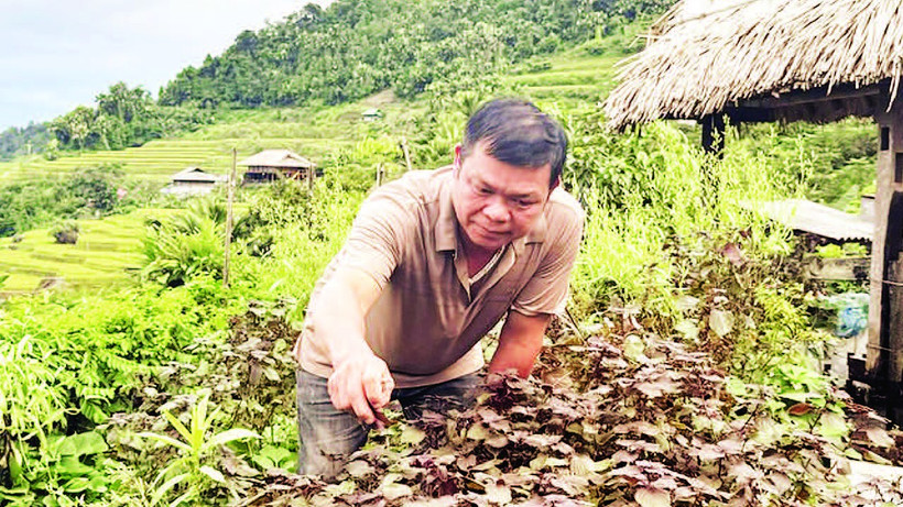 Bí thư Chi bộ tiên phong làm du lịch ở Khuổi My
