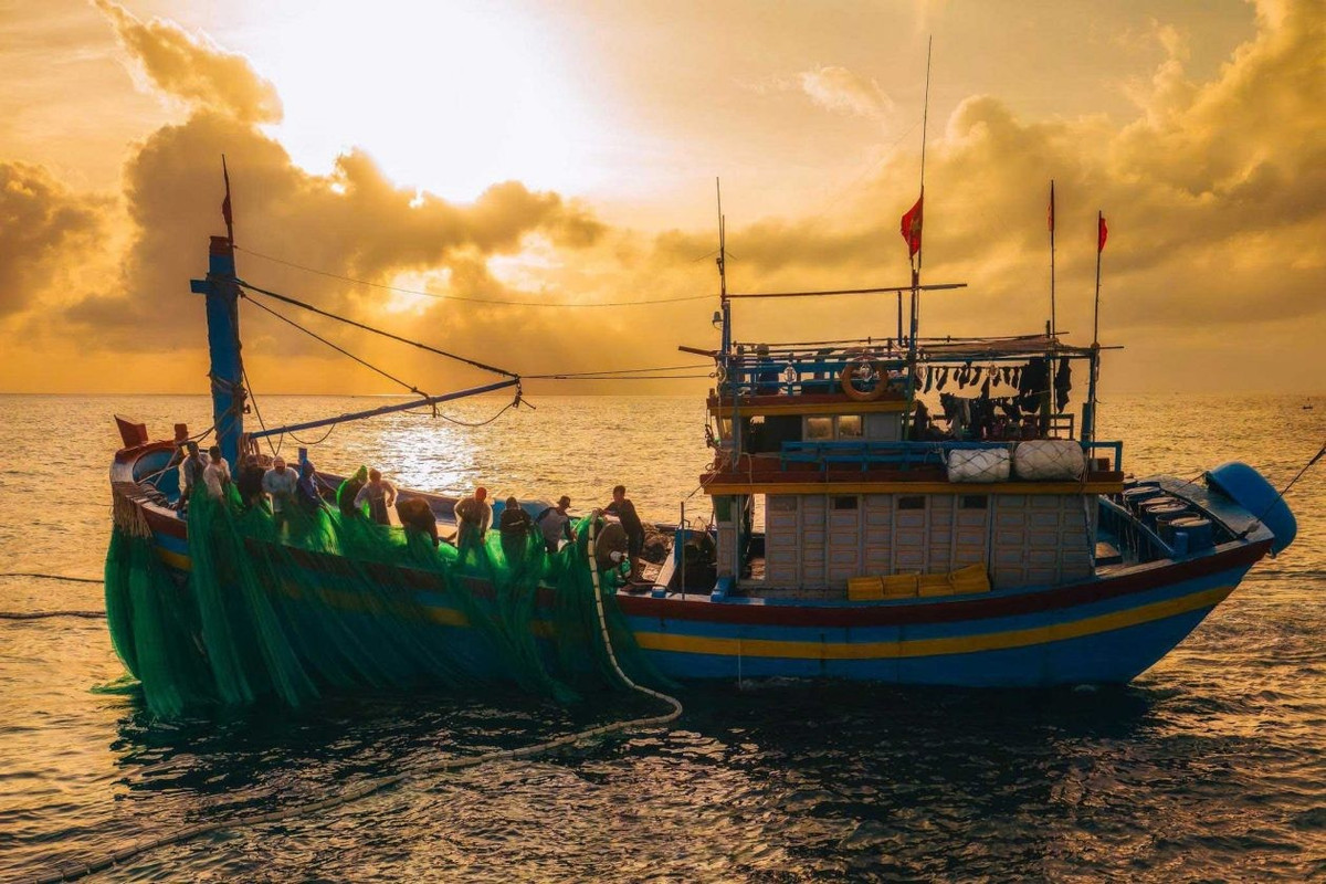 Du ngoạn làng chài Tân Phụng, đón gió biển Phù Mỹ