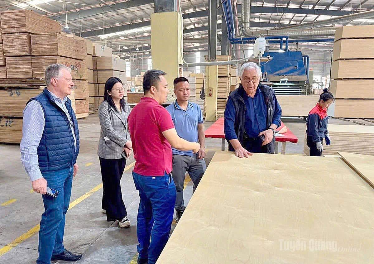 Building an Ecosystem to Leverage FTAs