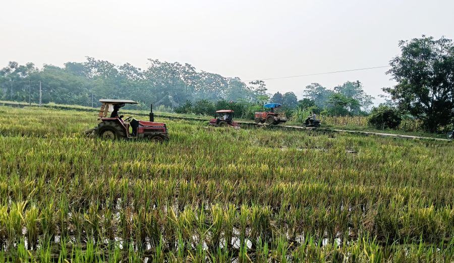 Bà con nông dân xã Đồng Yên tích cực triển khai sản xuất vụ Mùa năm 2026