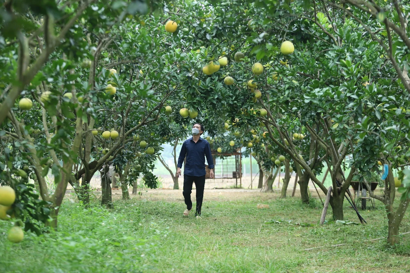 Tuyên Quang sau sáp nhập: Tăng tốc xây dựng nông thôn mới, hướng tới phát triển bền vững