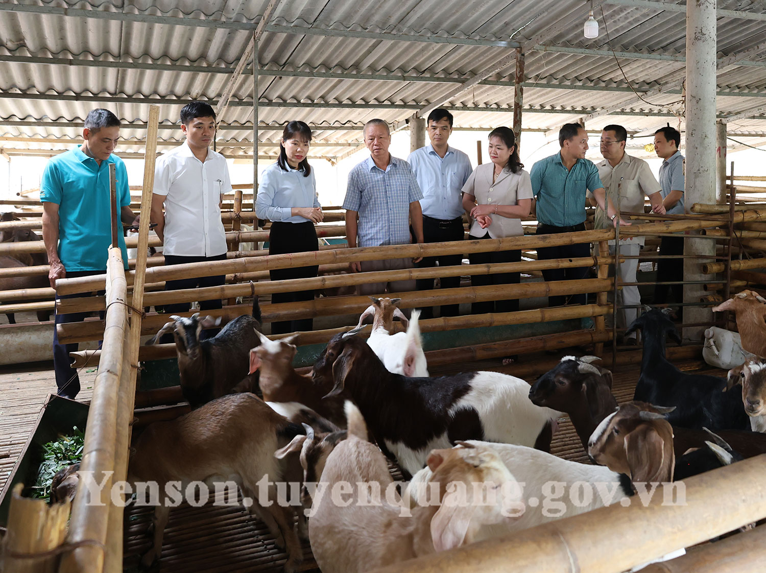 Thường trực Đảng ủy xã Yên Sơn thăm một số mô hình kinh tế tiêu biểu trên địa bàn