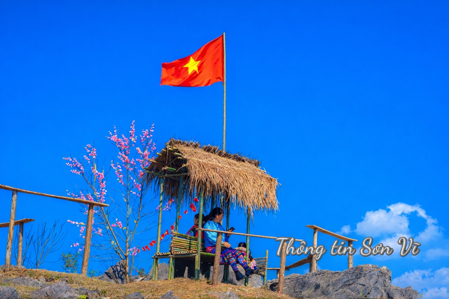 054008e2bbd6e921b7a6a57525bd264a