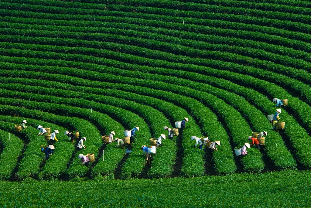 Ngành Nông nghiệp và Môi trường bứt phá nhiệm kỳ mới với 3 đột phá chiến lược