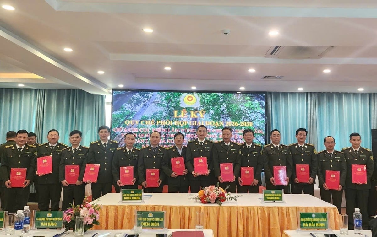 Miền Bắc giảm 30% vi phạm pháp luật lĩnh vực lâm nghiệp