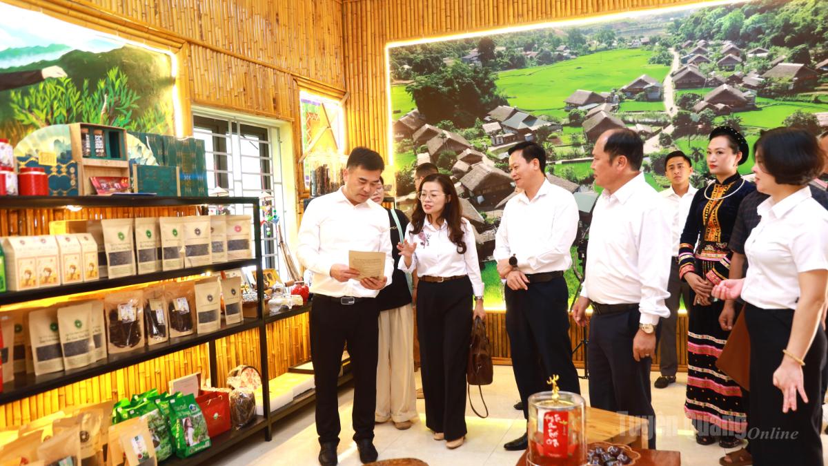 Khảo sát, kết nối phát triển du lịch giữa Tuyên Quang và châu Văn Sơn