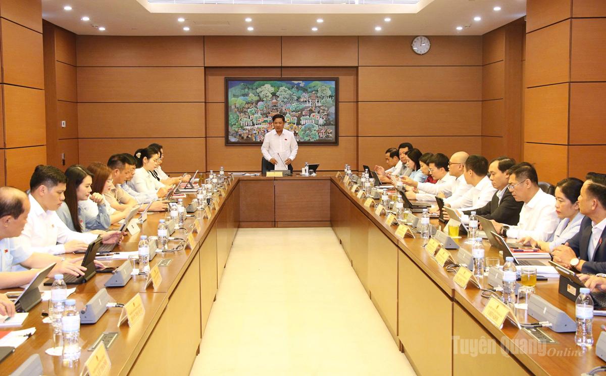Đại biểu Quốc hội tỉnh Tuyên Quang thảo luận tại Kỳ họp không thường lệ thứ nhất, Quốc hội khóa XVI