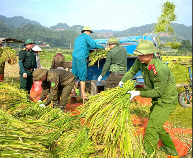 HÒA AN - LAN TOẢ PHONG TRÀO THI ĐUA “BA NHẤT” TRÊN CÁNH ĐỒNG VÀNG