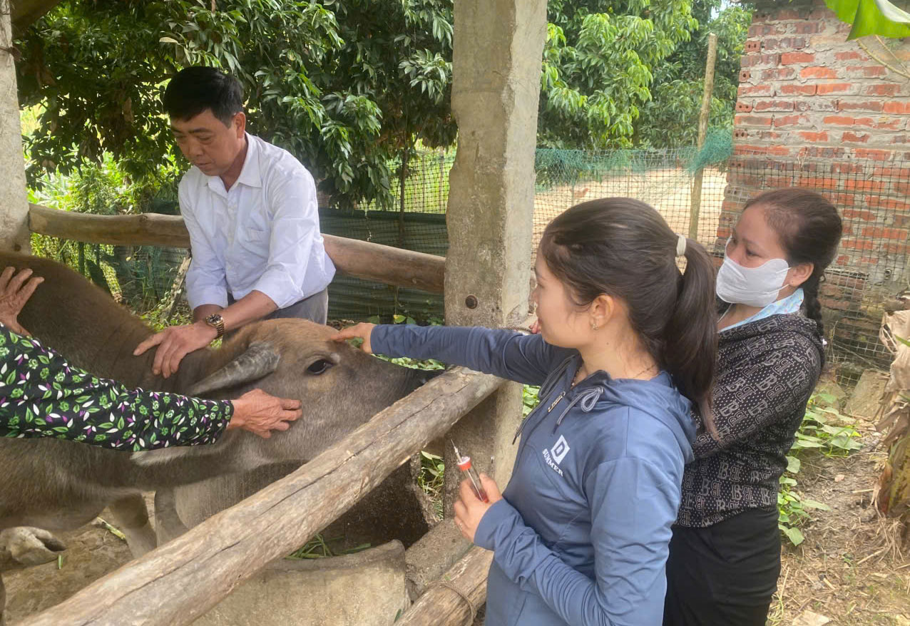 Thái Sơn đẩy mạnh tiêm phòng vắc xin cho đàn vật nuôi vụ thu đông