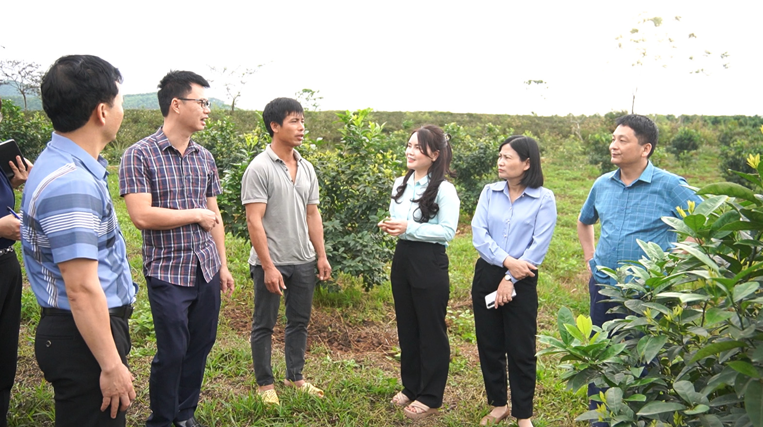 Sơn Dương khảo sát, định hướng phát triển các mô hình kinh tế hiệu quả