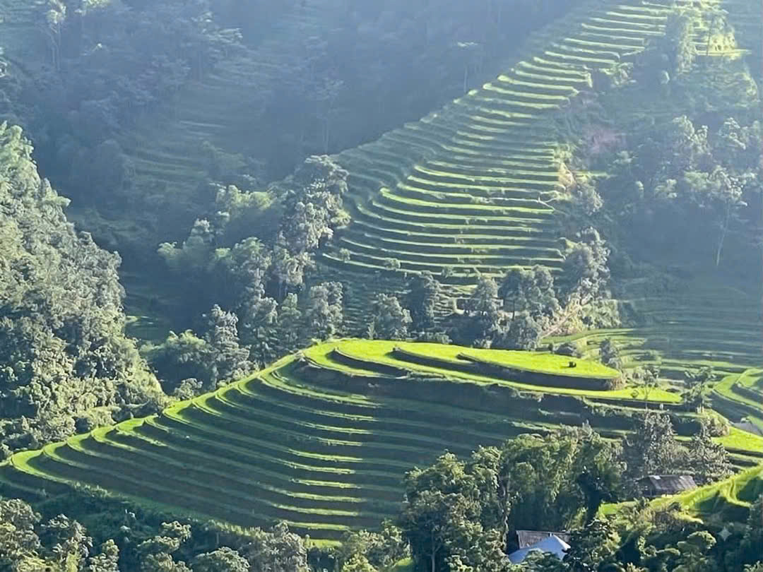 Những thửa ruộng đang tích màu cho mùa vàng sắp tới