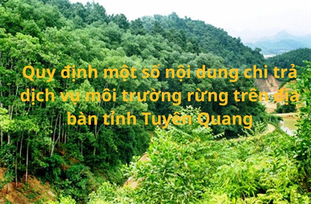 Quy định một số nội dung chi trả dịch vụ môi trường rừng trên địa bàn tỉnh Tuyên Quang