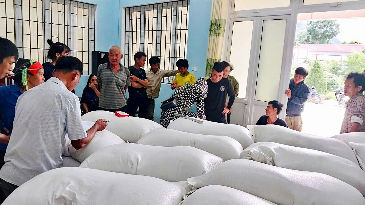 Cấp phát gạo dự trữ Quốc gia cho người dân xã Linh Hồ