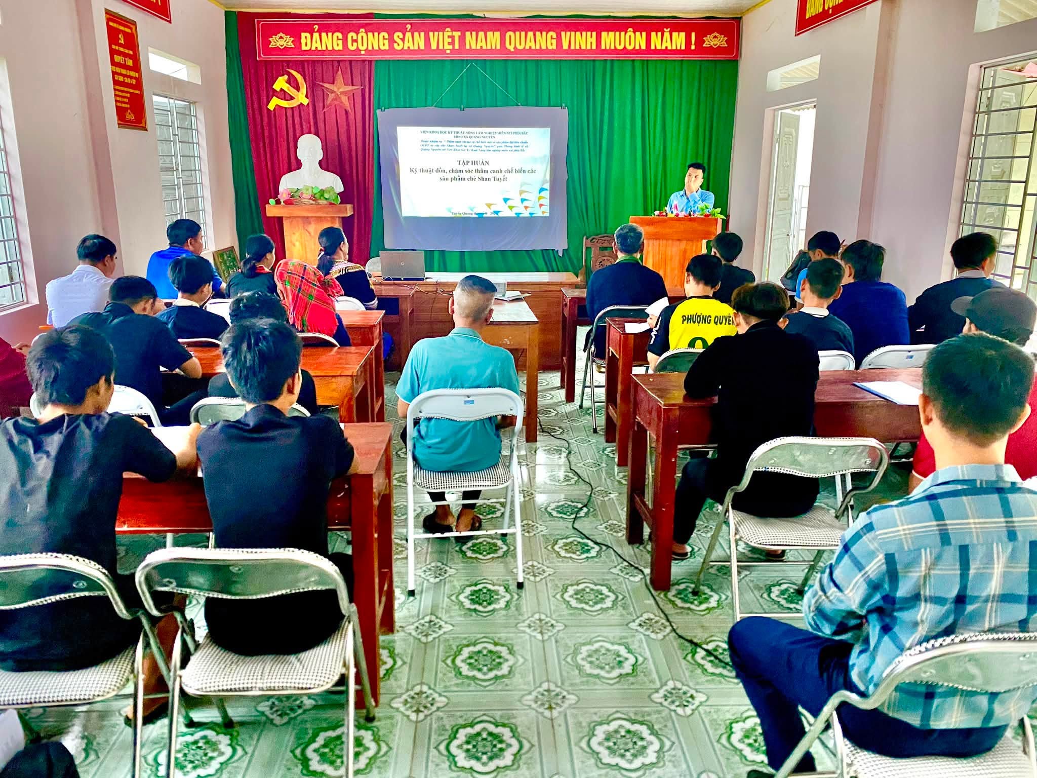 NÂNG TẦM GIÁ TRỊ CHÈ SHAN TUYẾT