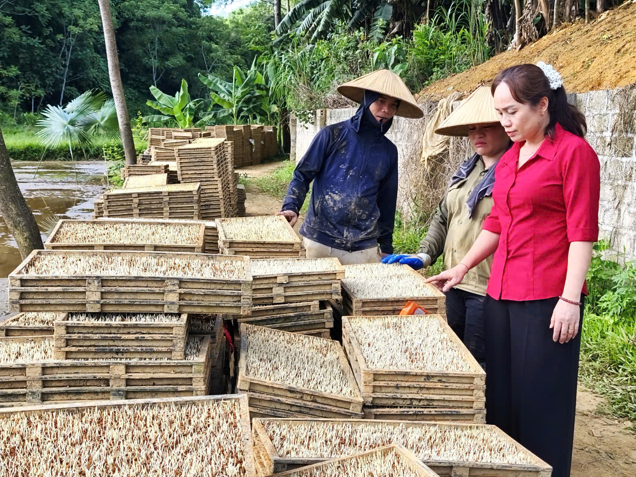 MÔ HÌNH GIEO MẠ KHAY TẠI THÔN YÊN CHUNG, XÃ TIÊN YÊN