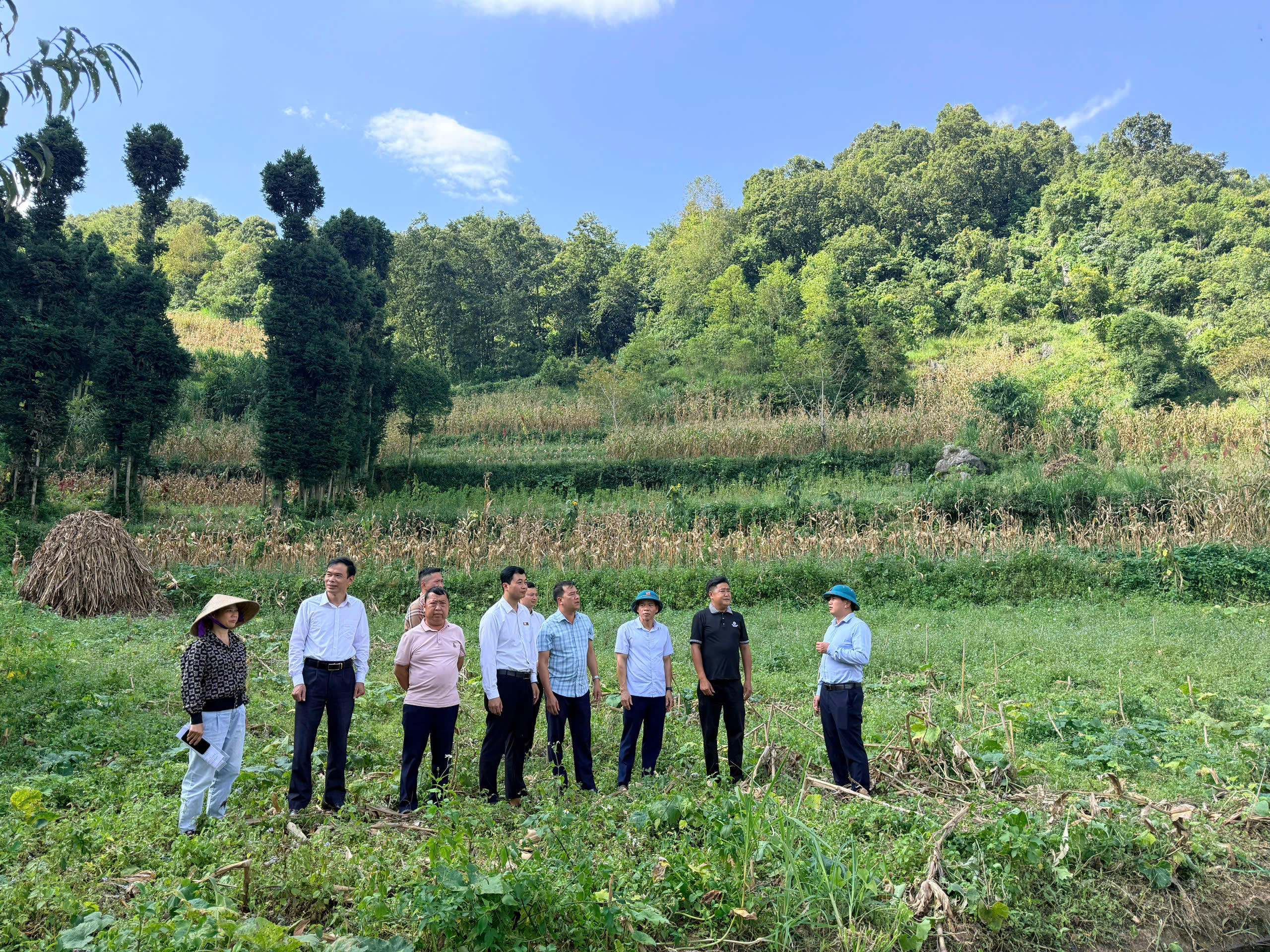 LŨNG CÚ CHUẨN BỊ NHỮNG SẮC HOA CHO MÙA LỄ HỘI