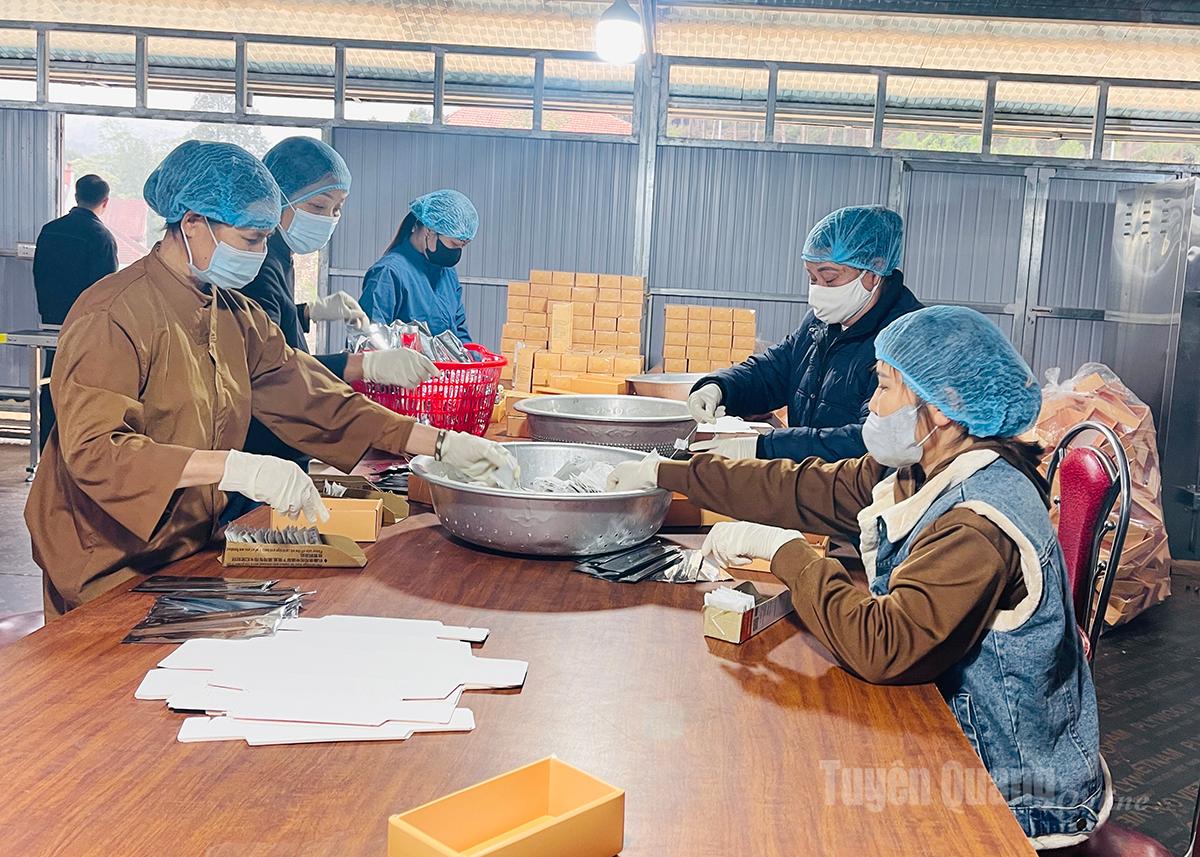 Bancha Tea Finds New Roots in Vị Xuyên