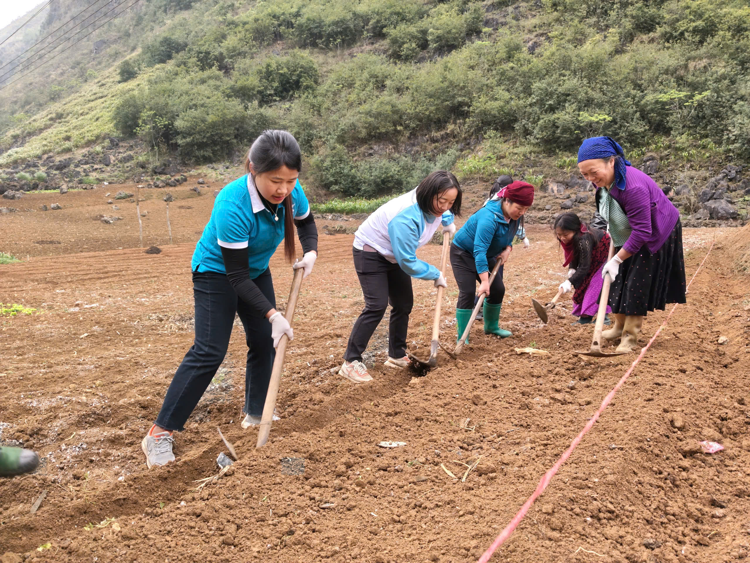 Ra quân hỗ trợ triển khai mô hình trồng cà chua tại thôn Pả Vi Hạ