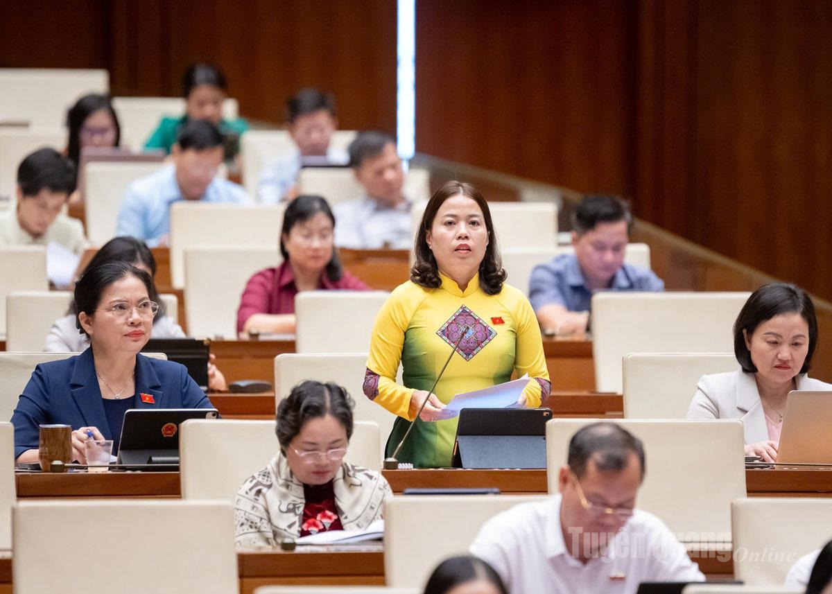 Trưởng Đoàn ĐBQH tỉnh Lý Thị Lan: Phải sớm tháo gỡ bất cập trong quy định về cấp Giấy phép môi trường