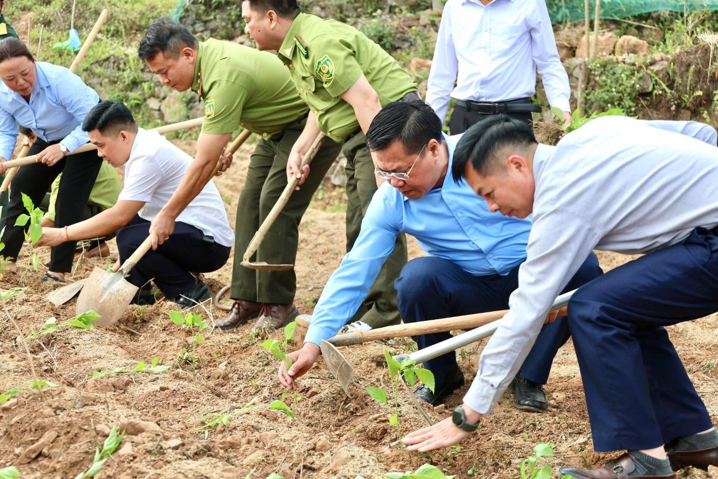 ĐỒNG VĂN ĐẨY MẠNH VIỆC CHUYỂN ĐỔI CƠ CẤU CÂY TRỒNG CÓ GIÁ TRỊ KINH TẾ CAO VÀO SẢN XUẤT GẮN VỚI PHÁT TRIỂN DU LỊCH TẠI ĐỒNG VĂN