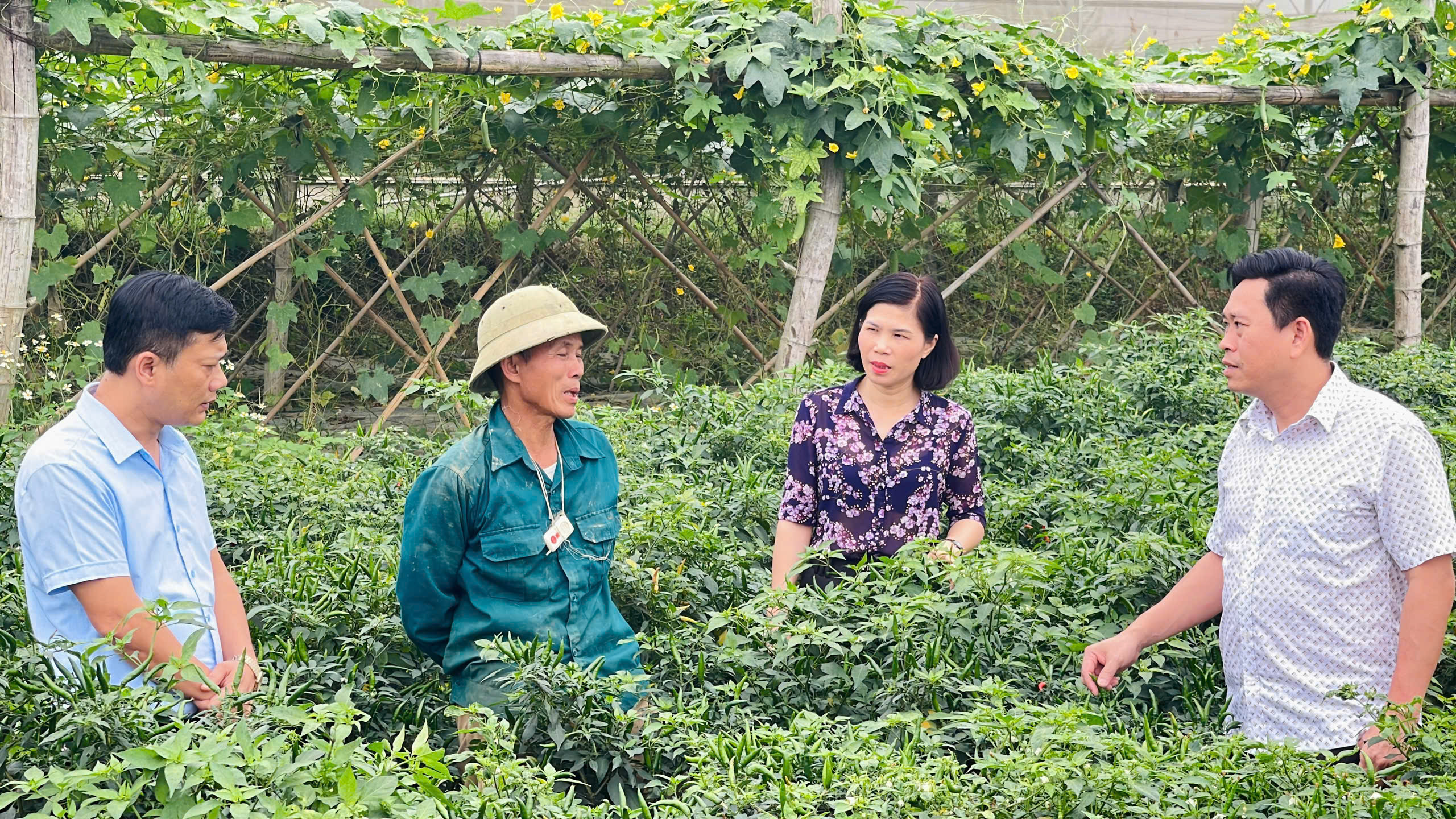 Hi vọng vào một vụ mùa mới