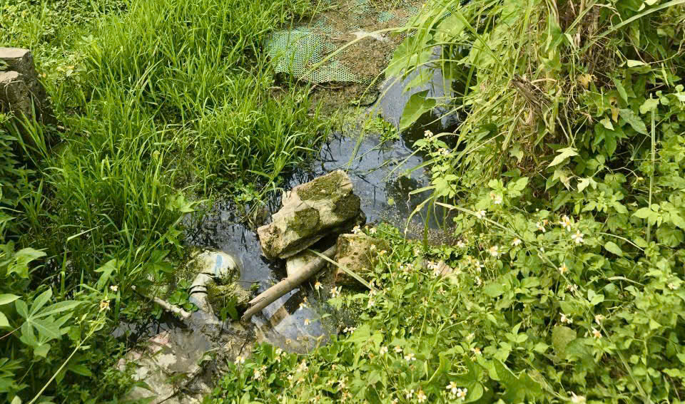 BÁO ĐỘNG Ô NHIỄM MÔI TRƯỜNG TỪ CHẤT THẢI CHĂN NUÔI Ở ĐỊA PHƯƠNG 