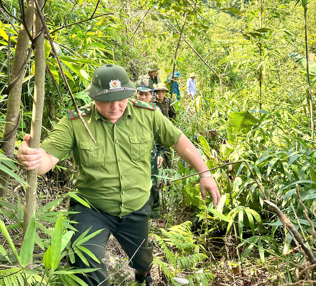 Thái Sơn tăng cường tuần tra, kiểm tra, đánh giá hiện trạng rừng để triển khai phương án cung ứng dịch vụ môi trường rừng