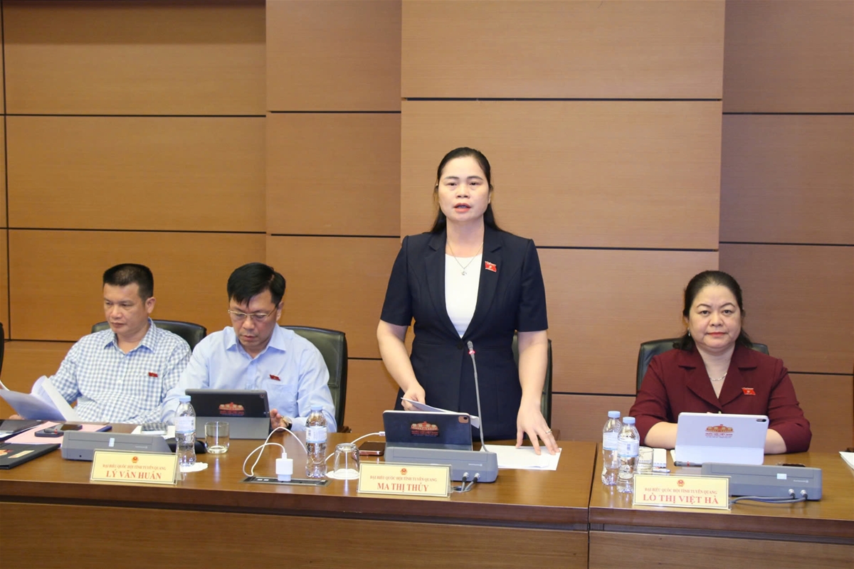 Đoàn đại biểu Quốc hội tỉnh tiếp tục tham gia thảo luận tại tổ, góp ý hoàn thiện các dự án luật và dự thảo nghị quyết