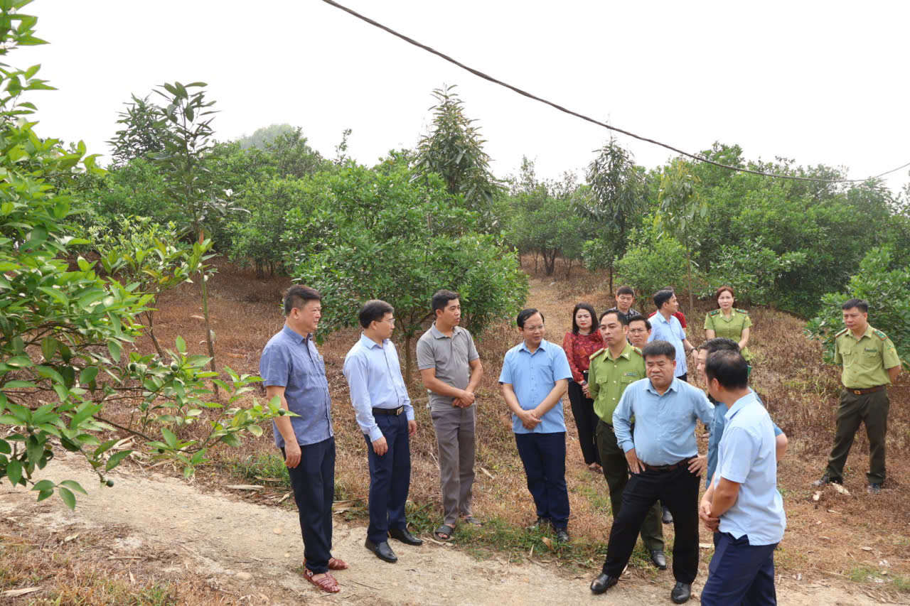 Thăm m&ocirc; h&igrave;nh Cam2.jpg