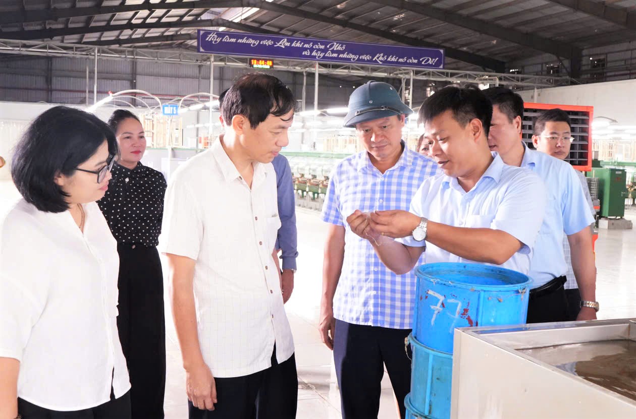 Phường An Tường học tập kinh nghiệm phát triển mô hình trồng dâu, nuôi tằm tại xã Trấn Yên