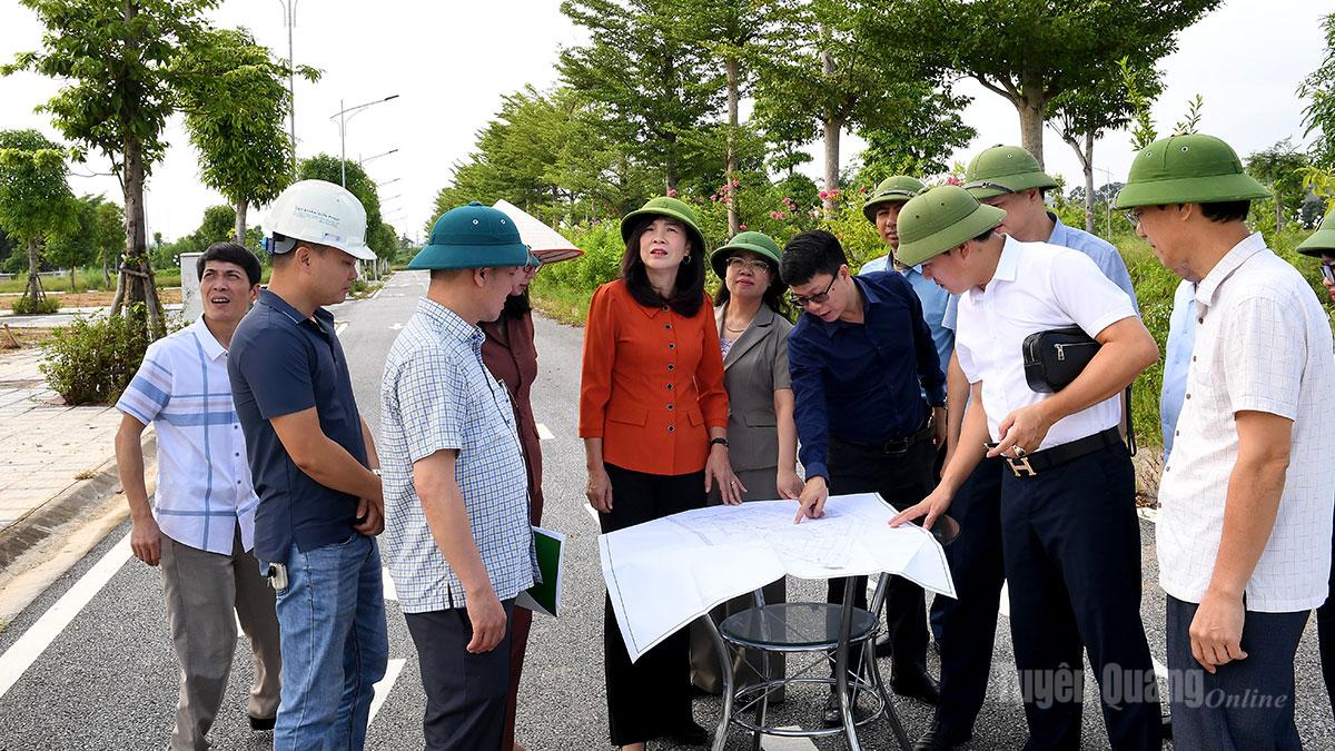 Thường trực HĐND tỉnh giám sát việc sử dụng đất dự án tại phường An Tường
