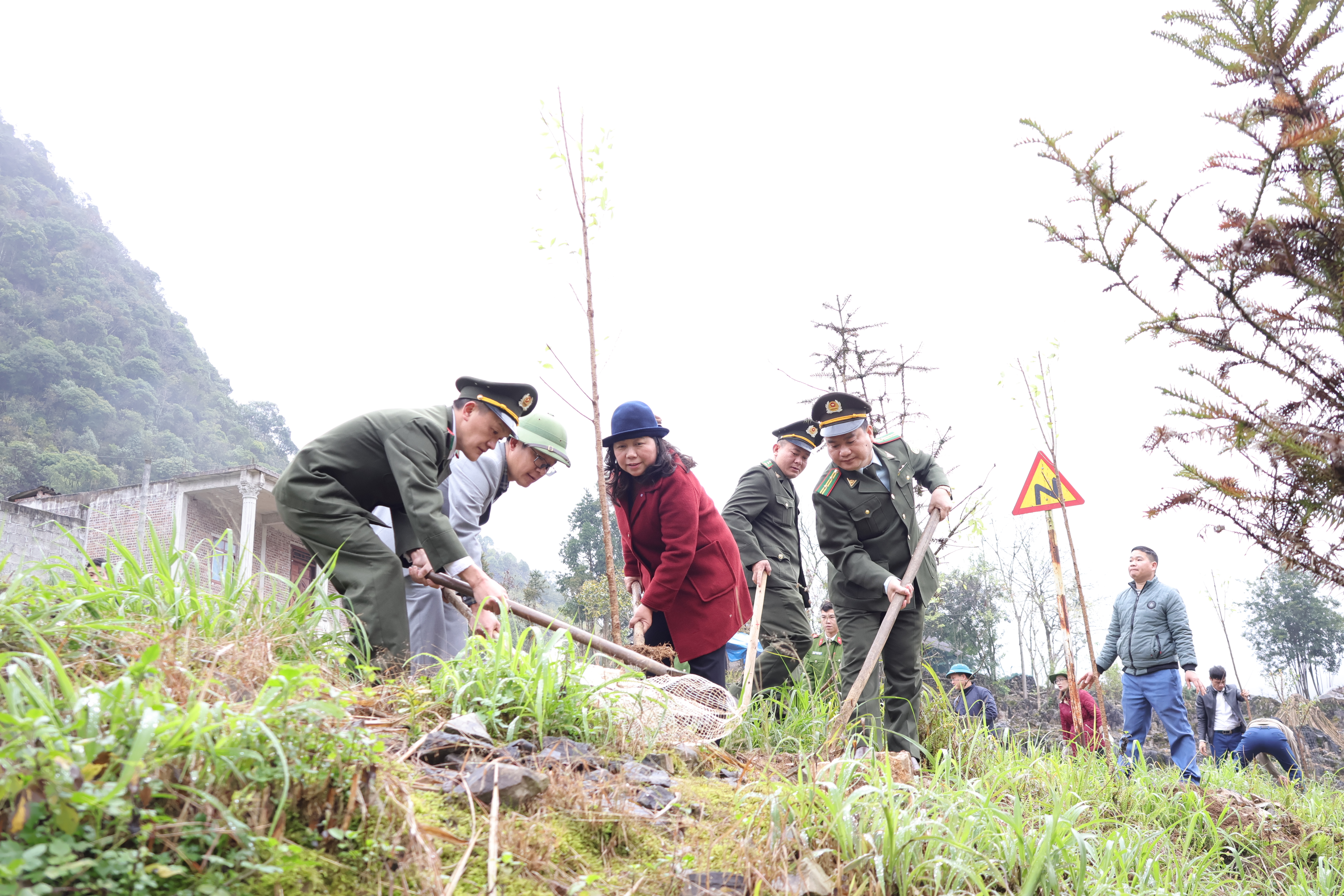 Sủng Máng phát động Tết trồng cây Xuân Bính Ngọ 2026, phấn đấu nâng độ che phủ rừng lên 48,91%