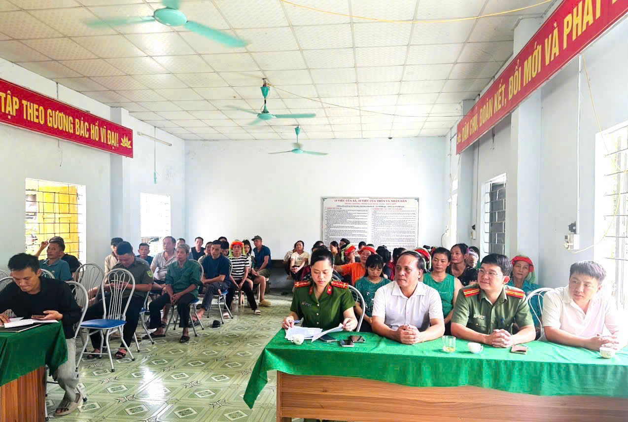 x kiến 5.jpg