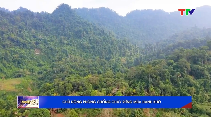 Chủ động phòng chống cháy rừng mùa hanh khô